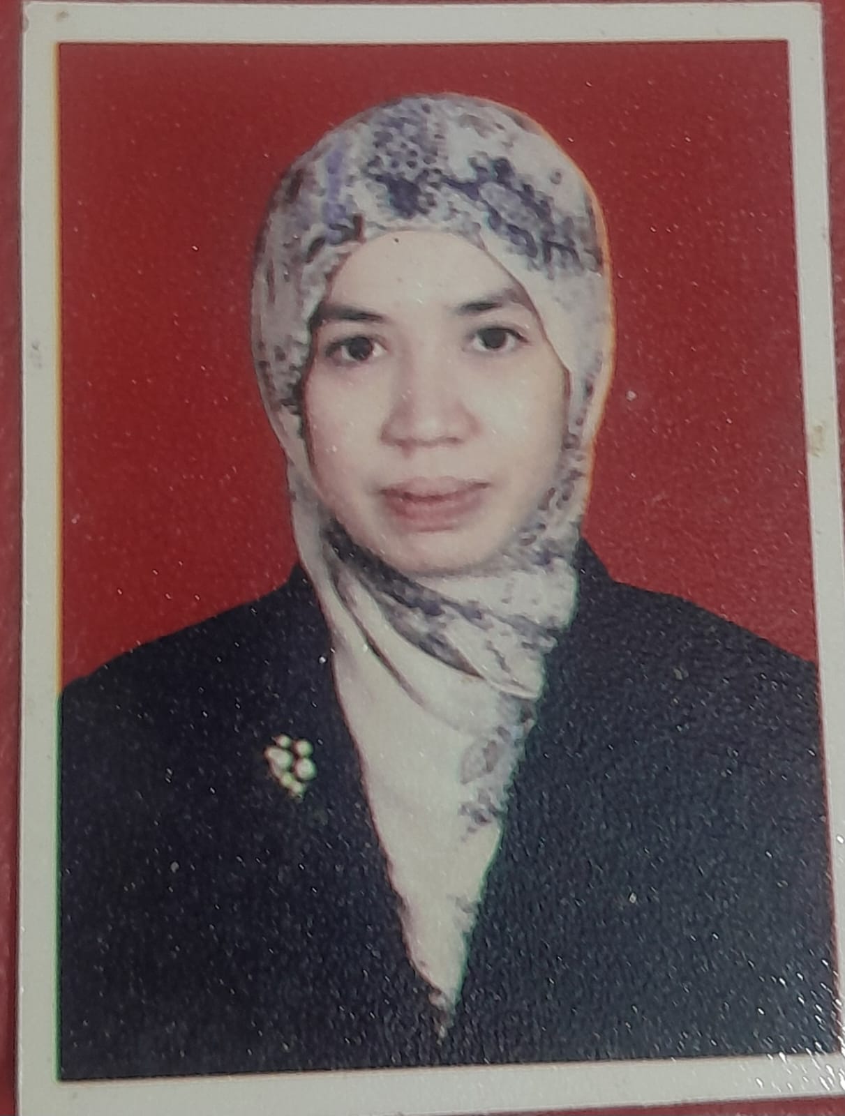 Nulaila S.E.I